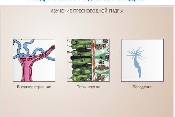 Кракен маркетплейс зайти