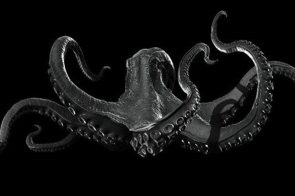 Kraken russia